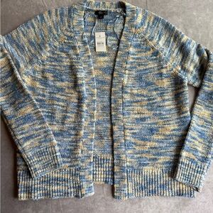 Ann Taylor Blue and Tan Knit Sweater